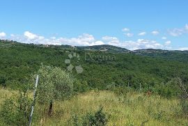 Pravokutna parcela sa lijepim pogledom na izvanrednoj lokaciji, Brtonigla, Zemljište