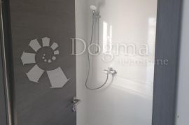 DVIJE KUĆE (180m2 i 100m2) + gospodarski dio HALA 220m2, Pazin - Okolica, Ev