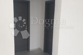 DVIJE KUĆE (180m2 i 100m2) + gospodarski dio HALA 220m2, Pazin - Okolica, Ev