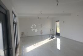 DVIJE KUĆE (180m2 i 100m2) + gospodarski dio HALA 220m2, Pazin - Okolica, Kuća