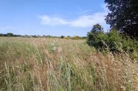 Marčana, građevinsko zemljište za stambenu gradju, Marčana, Tierra