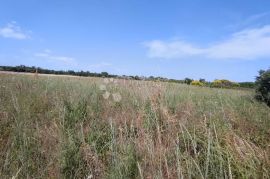 Marčana, građevinsko zemljište za stambenu gradju, Marčana, Tierra