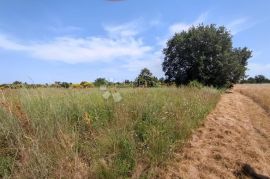 Marčana, građevinsko zemljište za stambenu gradju, Marčana, Tierra