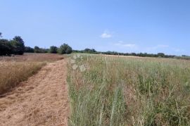 Marčana, građevinsko zemljište za stambenu gradju, Marčana, Tierra