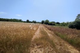 Marčana, građevinsko zemljište za stambenu gradju, Marčana, Tierra