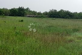 Poljoprivredno zemljište, Svetvinčenat, Land