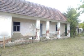 Kuća sa zemljom 1958m2, Orahovica, Maison