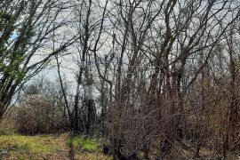 Zanimljivo zemljište na rubu urbanizacije, Barban, Arazi