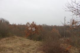 Zemljište, Svetvinčenat, Land