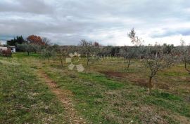 Kuća sa prostranom okućnicom, Vodnjan, Ev