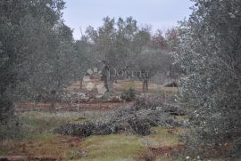 Fažana vikend zemljište, Fažana, Terra