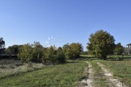 GRAĐEVINSKO ZEMLJIŠTE NA ODLIČNOJ LOKACIJI U PULI, Pula, Земля