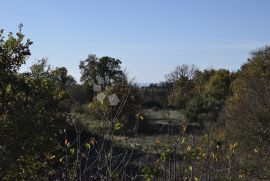 ZEMLJIŠTE U JURŠIĆIMA, Svetvinčenat, Land