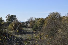 ZEMLJIŠTE U JURŠIĆIMA, Svetvinčenat, Land