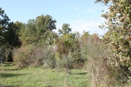 ZEMLJIŠTE NA MIRNOJ LOKACIJI U OKOLICI BARBARIGE, Vodnjan, Land