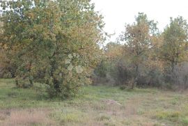 Zemljište u blizini mora, Vodnjan, Land