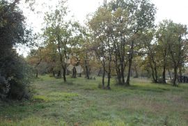 TOP LOKACIJA - blizina mora, Vodnjan, Terrain