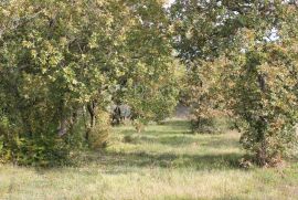 ZEMLJIŠTE NA SAMO 2 KM  OD MORA!, Vodnjan, Terrain