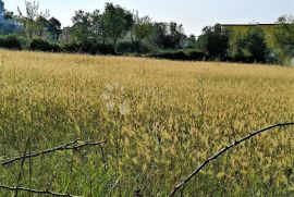 Prostrano urbanizirano zemljište za građevine gospodarske namjene sa pogledom na more!, Vodnjan, Γη