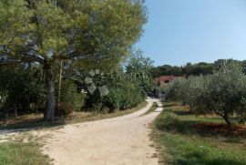 Pula-Busoler građevinsko zemljište, Pula, Land