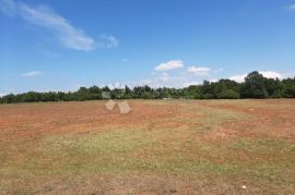 Prostrana parcela u okolici Marčane, Marčana, Terra