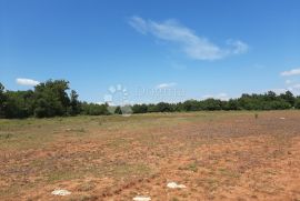 Prostrana parcela u okolici Marčane, Marčana, Terra