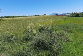 BARBAN - kompleks građevinskog i poljoprivrednog zemljišta, Barban, Γη