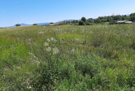 BARBAN - kompleks građevinskog i poljoprivrednog zemljišta, Barban, Land