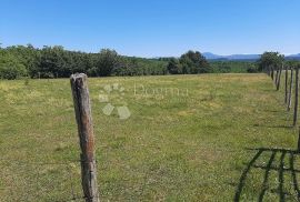 Poljoprivredno zemljište u okolici Barbana, Barban, Γη