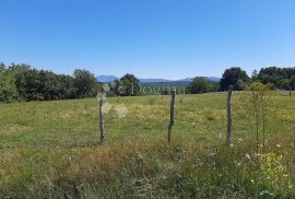 Poljoprivredno zemljište u okolici Barbana, Barban, Land