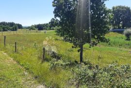 Poljoprivredno zemljište u okolici Barbana, Barban, Land