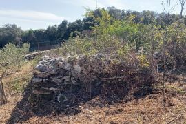 ROVINJ – lijepa padina s pogledom, dijelom maslinik, dijelom pašnjak, Rovinj, Land