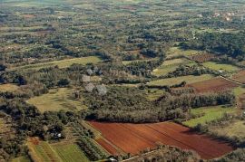 Veliko građevinsko zemljište u Ližnjanu, prilika za investitore, Ližnjan, Γη