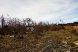 Poljoprivredno zemljište s pogledom na more, Raša, Arazi