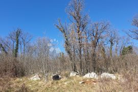 Građevinsko zemljište Brnčići, Kastav, Land