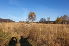 SAGRADITE KUĆU NA NAJLJEPŠOJ LIVADI, Delnice, Land