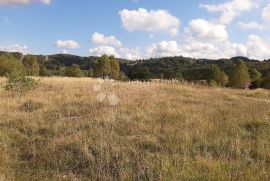 SAGRADITE KUĆU NA NAJLJEPŠOJ LIVADI, Delnice, Land