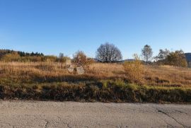 SAGRADITE KUĆU NA NAJLJEPŠOJ LIVADI, Delnice, Terra