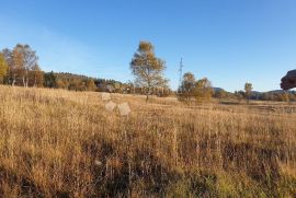 SAGRADITE KUĆU NA NAJLJEPŠOJ LIVADI, Delnice, Land