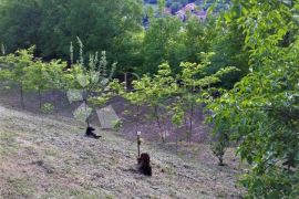 Prodaja poljoprivrednog zemljišta, Kašina, 2281 m², Sesvete, Land