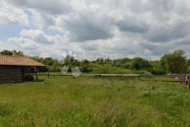 Imanje sa građevinskom dozvolom i projektom za vinariju i štalu za domaće životinje, Pazin - Okolica, أرض