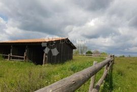 Imanje sa građevinskom dozvolom i projektom za vinariju i štalu za domaće životinje, Pazin - Okolica, أرض