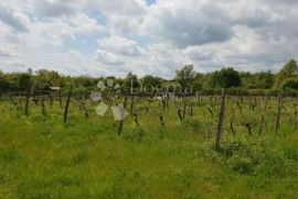 Imanje sa građevinskom dozvolom i projektom za vinariju i štalu za domaće životinje, Pazin - Okolica, أرض