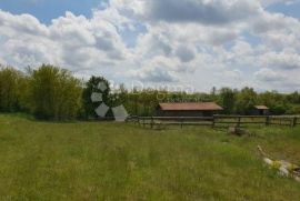 Imanje sa građevinskom dozvolom i projektom za vinariju i štalu za domaće životinje, Pazin - Okolica, أرض