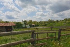 Imanje sa građevinskom dozvolom i projektom za vinariju i štalu za domaće životinje, Pazin - Okolica, أرض