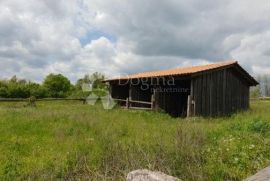 Imanje sa građevinskom dozvolom i projektom za vinariju i štalu za domaće životinje, Pazin - Okolica, أرض