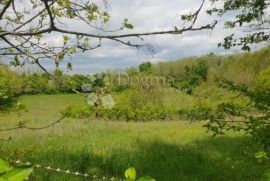 Imanje sa građevinskom dozvolom i projektom za vinariju i štalu za domaće životinje, Pazin - Okolica, أرض