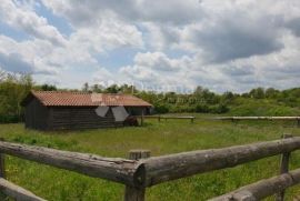 Imanje sa građevinskom dozvolom i projektom za vinariju i štalu za domaće životinje, Pazin - Okolica, أرض