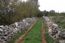 Prostrano građevinsko zemljište za gradnju nekoliko objekata!, Svetvinčenat, Land