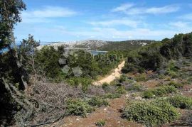 LOŠINJ, POLJOPRIVREDNO ZEMLJIŠTE S POGLEDOM NA MORE, Mali Lošinj, Zemljište